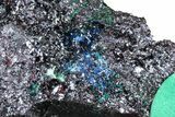 Rare Blue-Green Rouaite w/ Malachite & Cuprite - DR Congo #381386-1